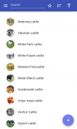 Cattle breeds screenshot 4