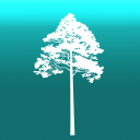 Arboreal - Height of Tree