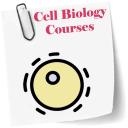 Cell Biology course Icon