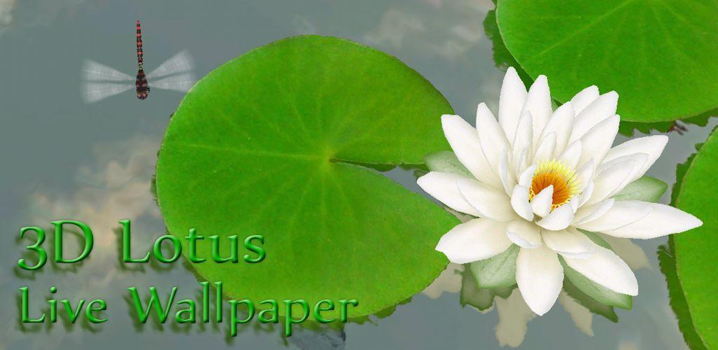 3D Lotus Pond Live Wallpaper - APK Download for Android | Aptoide