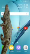 Cá sấu trong điện thoại - trò đùa lớn screenshot 2