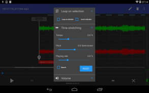 RecForge II - Audio Recorder screenshot 7