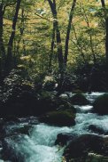 River Live Wallpaper screenshot 3