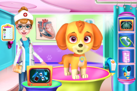 Fofo Animais Veterinario screenshot 3