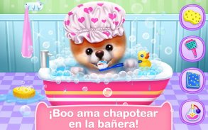 Boo – El Perro Más Lindo screenshot 2