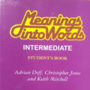 NEB Meaning Into Words Guide