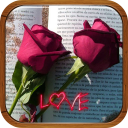 love roses with phrases Icon
