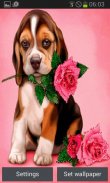 Puppy Rose Live Wallpaper screenshot 0