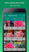 Status Saver - Whats Status Downloader screenshot 3