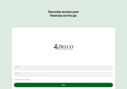 Belco CU Money Manager screenshot 5