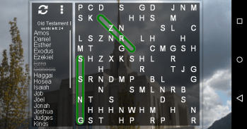 LDS Word Search Puzzle screenshot 3