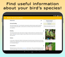 BirdsID - Identify Birds screenshot 10