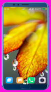 Leaves Wallpaper Best 4K screenshot 9