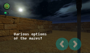 Epic Maze 3D screenshot 1