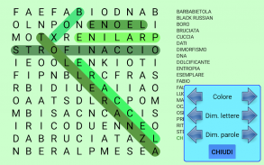 Puzzle parole intrecciate screenshot 3