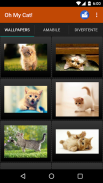 Cat wallpapers and funny pics screenshot 2