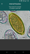 CAPC Internal Parasites ID screenshot 1