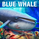 Blue Whale Simulator - Deep Ocean