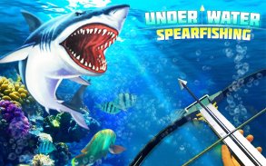 पानी के नीचे spearfishing 2017 screenshot 11