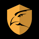 Defender Guard Icon