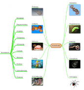 miMind - Easy Mind Mapping screenshot 13