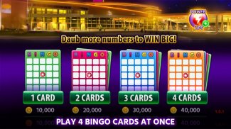 Lucky North Casino – ¡Gratis! screenshot 3
