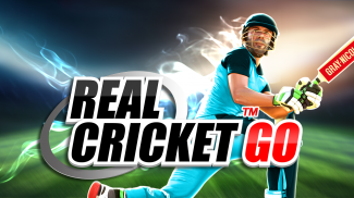 Real Cricket™ GO screenshot 8