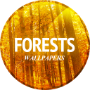 Fondo de pantalla de bosques