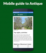 Antique Guide: Your mobile guide to Antique screenshot 1