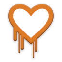 Heartbleed Detector Icon