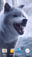 Wolf Video Live Wallpaper screenshot 1