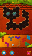 Aku Hexa Puzzle screenshot 5