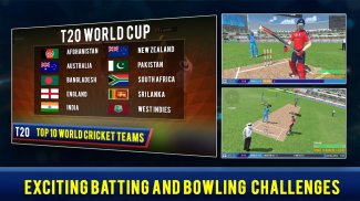 Cricket Championship Game 2024 screenshot 4