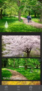 Expeditions: Arnold Arboretum screenshot 4