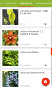 PlantNet Identificação Planta screenshot 3