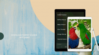 Parrot Sounds screenshot 1