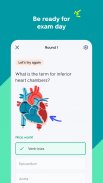 Quizlet: картки на основі ШІ screenshot 5