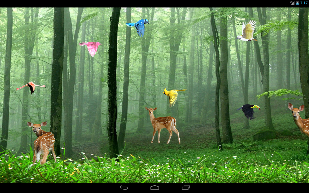 Rain Forest Live Wallpaper 1 12 Download Android Apk Aptoide