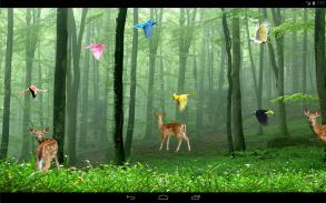 Rain Forest Live Wallpaper screenshot 0