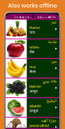 Learn Arabic From Hindi screenshot 10