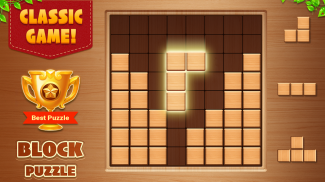 Wood Block Puzzle - Puzzle Game screenshot 1