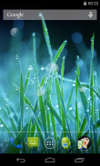 Grass Live Wallpaper screenshot 0