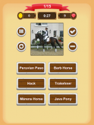 Horse Quiz screenshot 17
