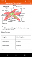 Zoology screenshot 5