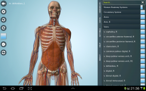 Anatomy 3D - Anatronica screenshot 0