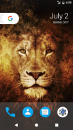 Lion Pride HD Wallpapers screenshot 0