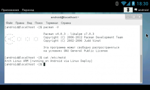 Linux Deploy screenshot 2