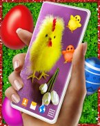 Easter Chicks Live Wallpaper screenshot 5