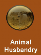 Animal Husbandry Tips screenshot 0