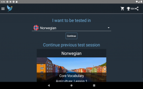 Norwegian Language Tests screenshot 7